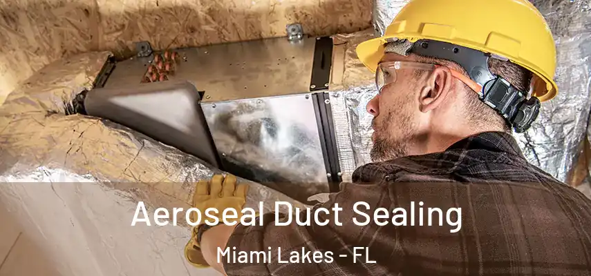  Aeroseal Duct Sealing Miami Lakes - FL